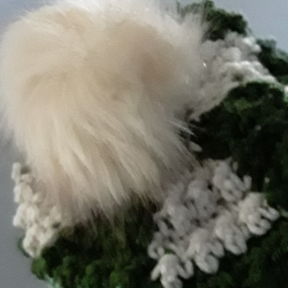 Super Cute Winter Hat (NWOT) - Picture 7 of 10